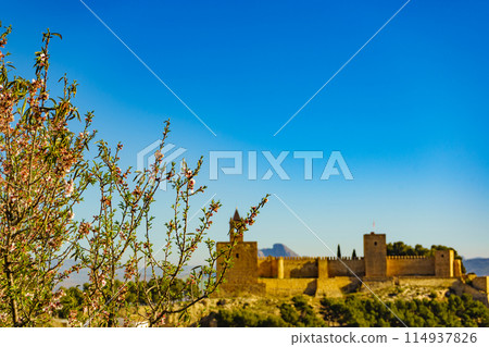 Spring tree and Alcazaba fortress in Antequera, Spain. 114937826