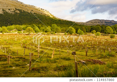 Sad Hill Cemetery in Spain. Tourist place Sad Hill Cemetery in Spain. Tourist place 114937860