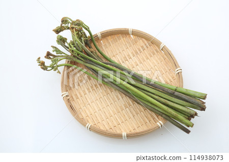 IngredientsBracken on a sieve IngredientsBracken on a sieve 114938073
