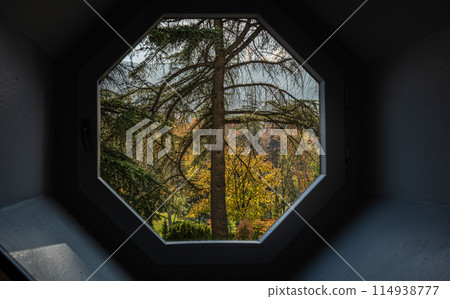 View to the autumnal park 114938777