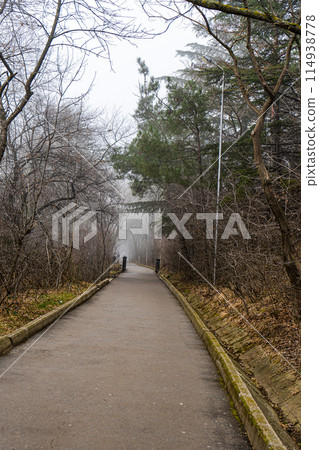 Winter misty landscape of Tbilisi's downtown Winter misty landscape of Tbilisi's downtown 114938778
