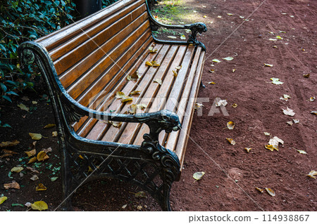 Famous Tbilisi's park in autumn Famous Tbilisi's park in autumn 114938867