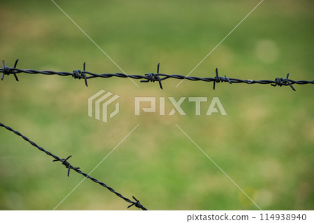barbed wire on the green grass background 114938940