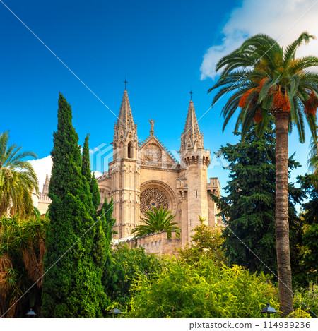 The Cathedral of Santa Maria of Palma and Parc del Mar near, Majorca, Spain The Cathedral of Santa Maria of Palma and Parc del Mar near, Majorca, Spain 114939236