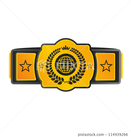 Pattern belt world champion martial arts isolated 114939266