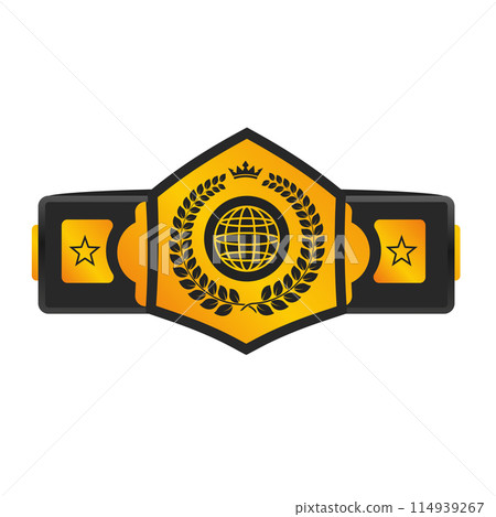 Pattern belt world champion martial arts solated Pattern belt world champion martial arts solated 114939267