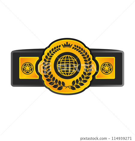 Pattern belt world champion martial arts solated 114939271