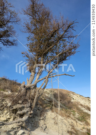 Extreme swing on edge of high mountain with view of mountains 114939430