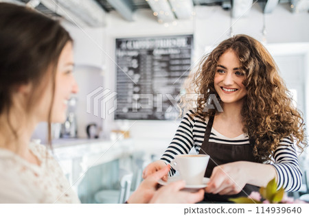 Beautiful female barista working in coffee shop, serving coffee to female customer. University student working part-time in cafe. Beautiful female barista working in coffee shop, serving coffee to female customer. University student working part-time in cafe. 114939640