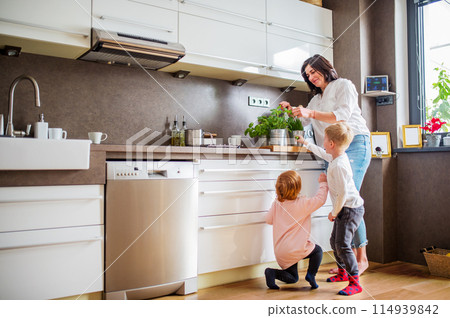 Grandma takes care of the grandchildren while their parents are at work, spending time in kitchen, cooking together and having fun. 114939842