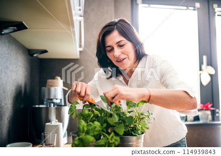 Beautiful mature woman taking care of herbs, cutting herbs for cooking in kitchen. 114939843