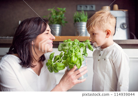 Beautiful grandmother with little boy spending together time in kitchen, learning to cook. Grandson with potted herb in hands. 114939844
