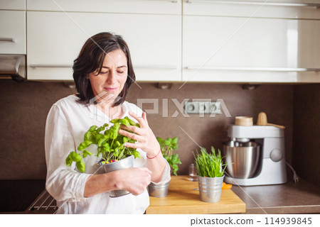 Beautiful mature woman taking care of herbs, cutting herbs for cooking in kitchen. 114939845