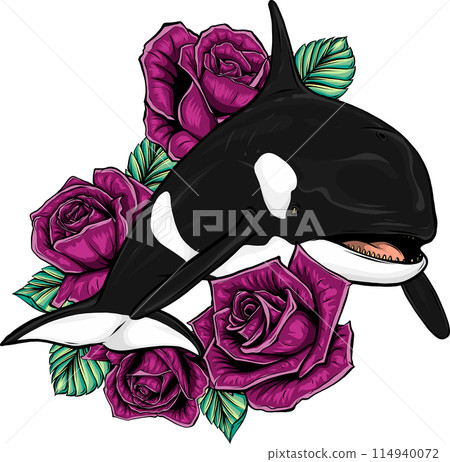Killer Whale or Orca vector illustration design Killer Whale or Orca vector illustration design 114940072