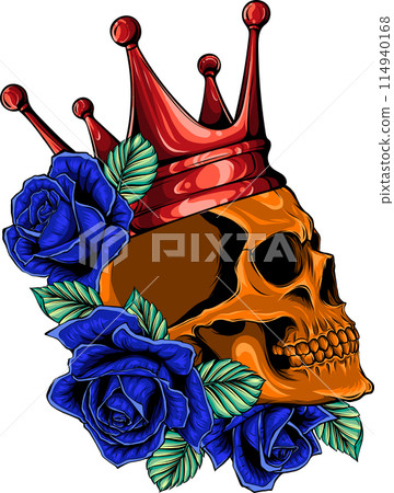 colored draw of human skull vector illustration design colored draw of human skull vector illustration design 114940168