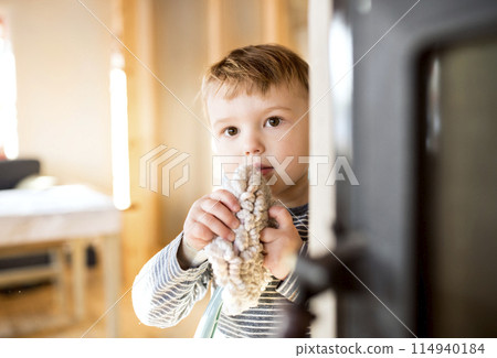 Little boy helping mother with hosehold chores, dusting cleaning their house. Weekly chores, weekend activities. Little boy helping mother with hosehold chores, dusting cleaning their house. Weekly chores, weekend activities. 114940184