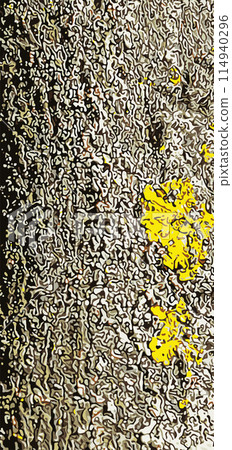 Realistic vector illustration of ginkgo biloba tree bark. Tree bark background Realistic vector illustration of ginkgo biloba tree bark. Tree bark background 114940296
