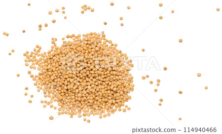 Scattered mustard seeds on isolated background Scattered mustard seeds on isolated background 114940466