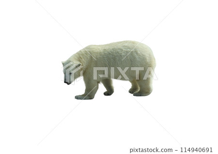 Park bench isolated on a white background 114940691