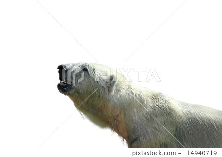 Park bench isolated on a white background 114940719