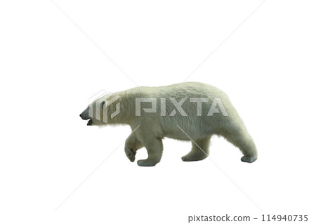 Park bench isolated on a white background Park bench isolated on a white background 114940735