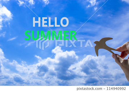 Hello summer symbol. Concept words Hello summer on beautiful sky. Beautiful blue sky cloud background. Businessman hand with wooden bird. Business lifestyle Hello summer concept. Copy space. Hello summer symbol. Concept words Hello summer on beautiful sky. Beautiful blue sky cloud background. Businessman hand with wooden bird. Business lifestyle Hello summer concept. Copy space. 114940992