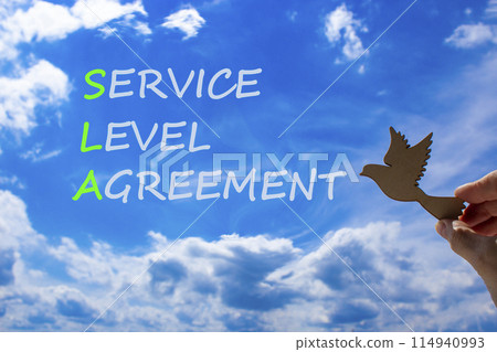 SLA service level agreement symbol. Concept words SLA service level agreement on beautiful blue sky clouds background. Wooden bird. Business SLA service level agreement concept. Copy space. 114940993