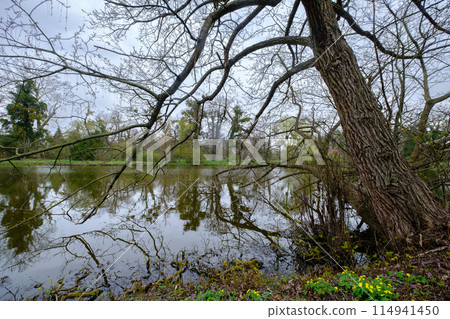 Beautiful tree and lake in the park of the Lednice Valtice Cultural Landscape, Czech Republic Beautiful tree and lake in the park of the Lednice Valtice Cultural Landscape, Czech Republic 114941450