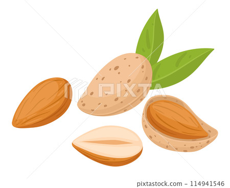 Cartoon almonds. Delicious tasty almond snack, raw almonds in shell flat vector illustration. Crunchy almond nuts on white Cartoon almonds. Delicious tasty almond snack, raw almonds in shell flat vector illustration. Crunchy almond nuts on white 114941546