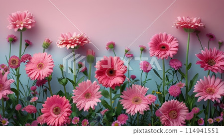 Pink Flowers on Pink Wall 114941551