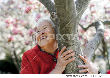 Portrait of elderly woman standing by magnolia tree, in park, having relaxing moment. Grandmother enjoying warm spring weather. 114942308