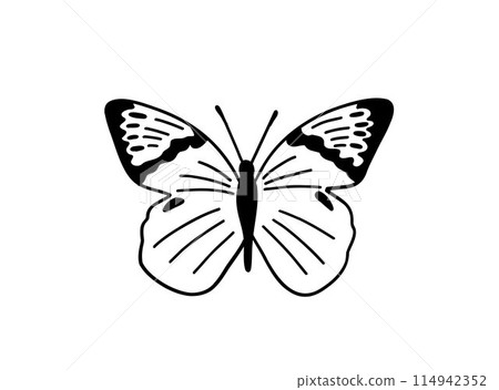 Monochrome butterfly silhouette cut out black Monochrome butterfly silhouette cut out black 114942352