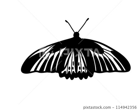 Monochrome butterfly silhouette cut out black  114942356