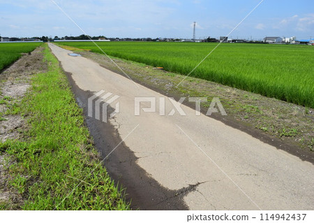 Paved farm roads and rural landscape Paved farm roads and rural landscape 114942437
