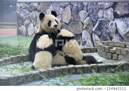 吉濱媽媽給海濱/Yohama 乳房 114942512