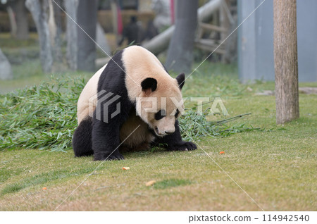 明濱發現零食 114942540