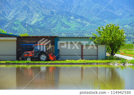 Rice farming scene [Azumino in early summer] 114942580