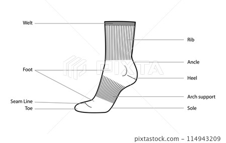 Diagrams of sports sock parts with text names. Hosiery Fashion accessory clothing technical illustration stocking Vector 114943209