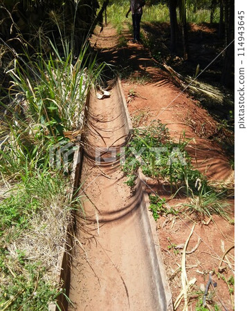 dry irrigation canal in urban perimeter 114943645