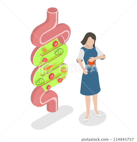 3D Isometric Flat Illustration of Good And Bad Gut Bacterias, Gut Flora, Digestive Tract Microorganisms. Item 1 3D Isometric Flat Illustration of Good And Bad Gut Bacterias, Gut Flora, Digestive Tract Microorganisms. Item 1 114943757