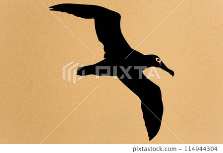 silhouettes of bird albatross, albatross silhouette vector illustration 114944304