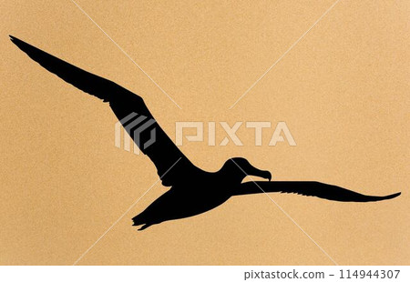 silhouettes of bird albatross, albatross silhouette vector illustration 114944307