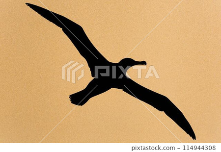 silhouettes of bird albatross, albatross silhouette vector illustration silhouettes of bird albatross, albatross silhouette vector illustration 114944308