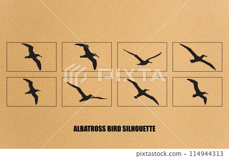set of silhouettes of bird albatross, albatross bird silhouette vector illustration 114944313