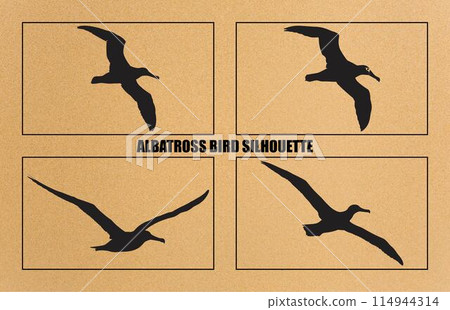set of silhouettes of bird albatross, albatross bird silhouette vector illustration set of silhouettes of bird albatross, albatross bird silhouette vector illustration 114944314