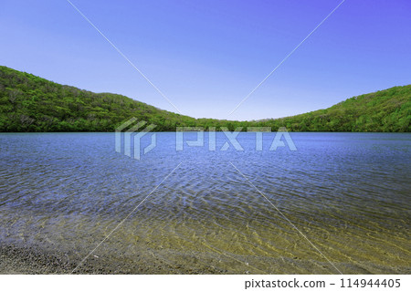 新鮮的綠色赤城大沼 114944405