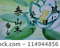 海嘎：風中陽光下的泰山樹的香氣 114944856