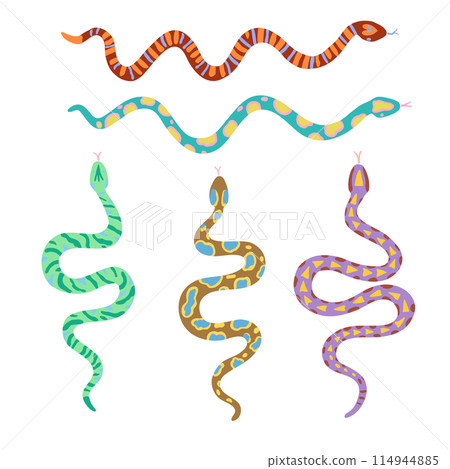 Set of snakes with various patterns. Vector design elements isolated on white background. Set of snakes with various patterns. Vector design elements isolated on white background. 114944885