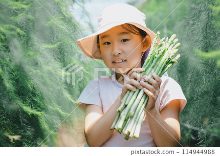 Children enjoying harvesting vegetables 114944988
