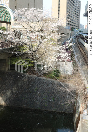 飯田橋附近的建築物的春天風景 飯田橋附近的建築物的春天風景 114945080